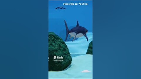 Shark 3D VFX for upcoming films