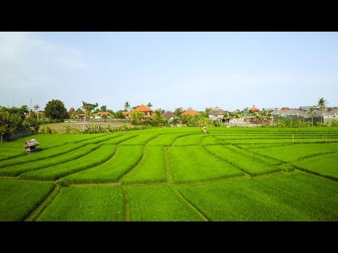 ONE DAY IN INDONESIA | Aerial Drone Video in 4K