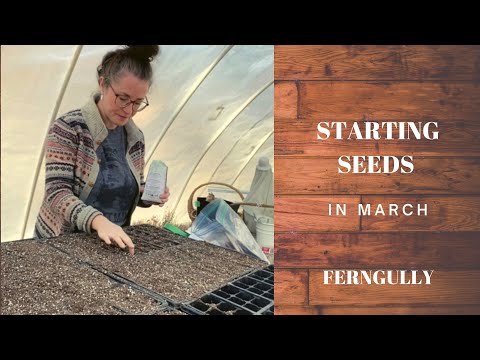 STARTING SEEDS IN MARCH - Zone 5b - Indoor and greenhouse seedlings - Self-sufficient homestead