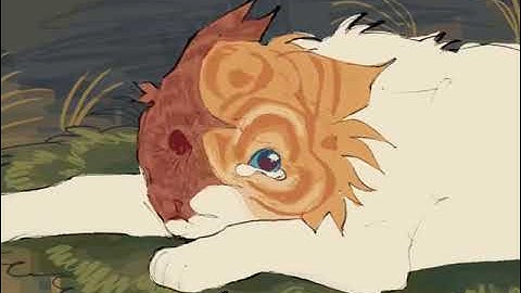Harvey - cloudtail + brightheart amv