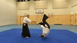 Aikido - 7. DAN in Action Kote-gaeshi vs. Ushiro-ryote-tori