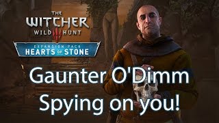 Witcher 3 Gaunter O'Dimm detail you probably missed while playing Hearts of Stone