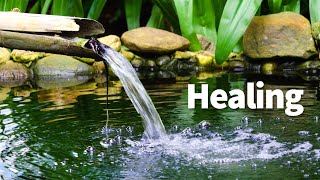 3 Hour Water Sound for Sleeping, Relaxation w/ Bamboo Water Fountain, Meditation | Betta Fish