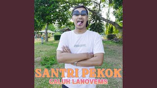 Download Lagu Santri Pekok MP3