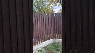 Деревянный штакетник