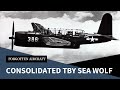 The consolidated tby sea wolf  a when good enough beats better case study