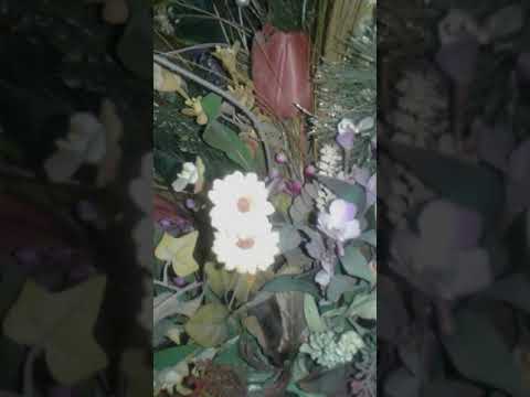كفارة الذنب الندامة