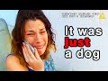 When Police Give Evil Pet Owners A Good Lesson