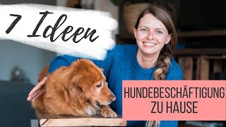 Hundebeschäftigung im Haus – 7 Ideen für artgerechte Spiele | Lilies Diary  | *Anzeige screenshot 2