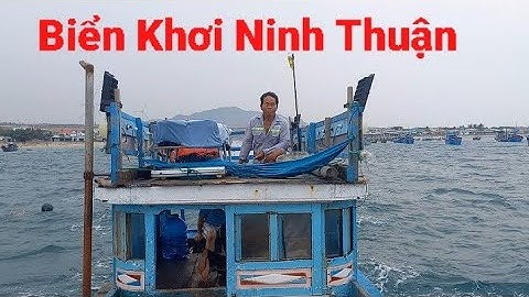 Câu Mực Óng Mực Đất Câu Đêm Ở Mũi Dinh Sơn Hải