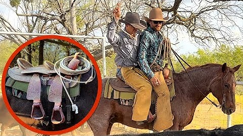 We Try Roping In A Double Saddle