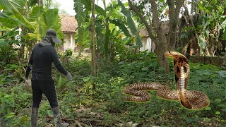 CLEAN UP the abandoned house is a SNAKE shelter that terrifies the neighbors