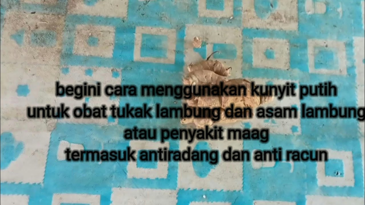 cara mengobati tukak lambung dengan kunyit putih 