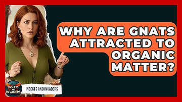 Why Are Gnats Attracted To Organic Matter? - Insects and Invaders