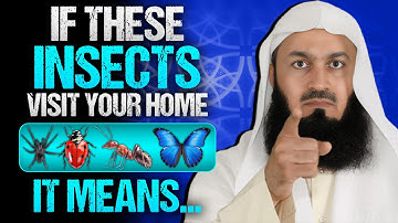 When Insects Visit Your House, Don’t Ignore These 6 Warnings from Allah | Mufti Menk