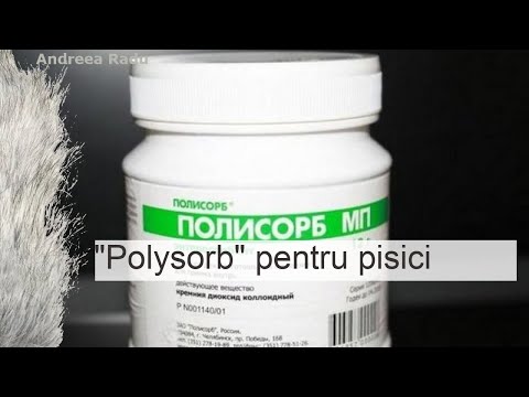 ผลสลากกินแบ่งรัฐบาล วันที่ 1 พย. 2567