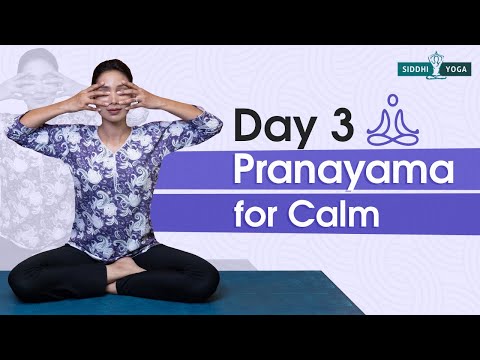 Day 3: Breathing Exercises for High BP | Pranayama to Reduce Blood Pressure & Find Calm