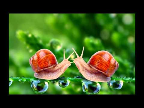 Ảnh thiên nhiên 3D đẹp 2015