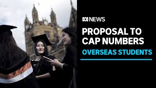 Will capping international students solve Australia's housing shortages? | ABC News Resimi