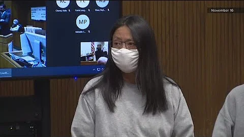 Hearing held on custody of siblings allegedly tort...
