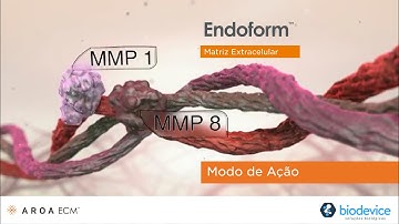 Modo de Ação - Endoform™ Matriz Extracelular