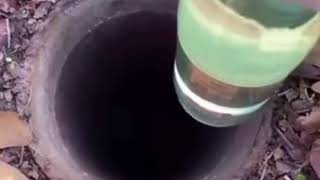Download Lagu Whats up guys, today were chilling in the sewers...(dropping bottle down well) MP3 Download Lagu Whats up guys, today were chilling in the sewers...(dropping bottle down well) MP3