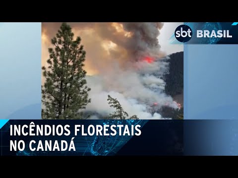 Video cidade-no-canada-e-evacuada-apos-incendios-florestais-sbt-brasil-13-05-24
