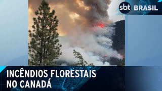 Video cidade-no-canada-e-evacuada-apos-incendios-florestais-sbt-brasil-13-05-24