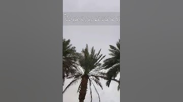 سعود الشريم {وَاصْبِرْ نَفْسَكَ مَعَ الَّذِينَ يَدْعُونَ رَبَّهُم..}  سورة الكهف