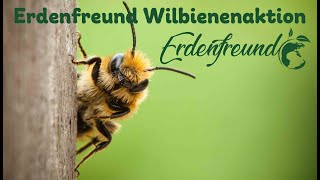 Artgerechte Wildbienenhäuser - Erdenfreund