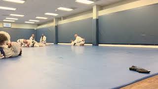 Blue Belt Stripe 2 Rolling