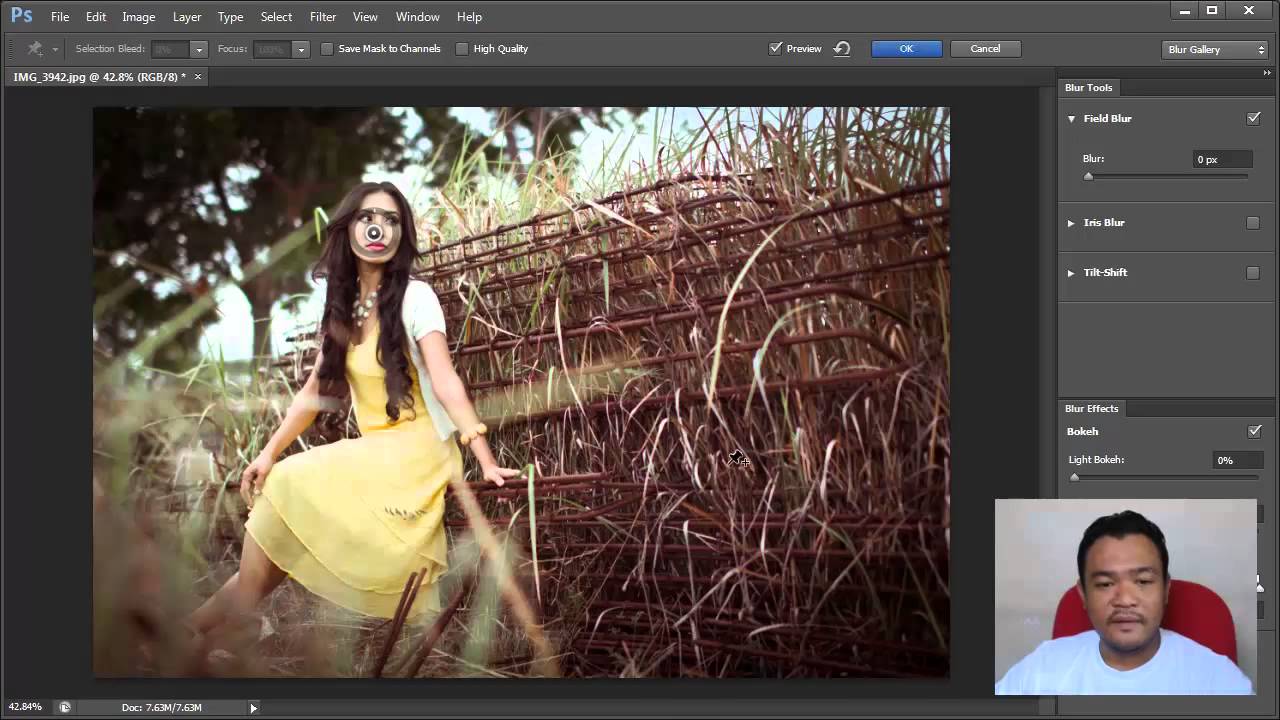 Adobe Photoshop CS6 Field Blur Tutorial Bokeh YouTube
