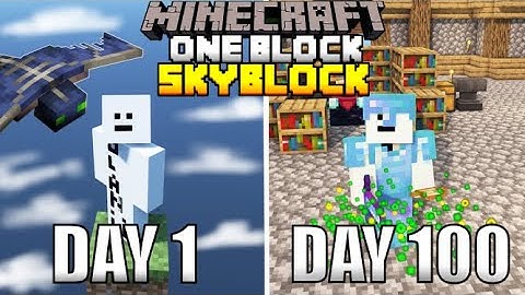 I Spent 100 Days In One Block Minecraft And Here