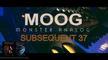 MOOG SUBSEQUENT 37 | PATCHES