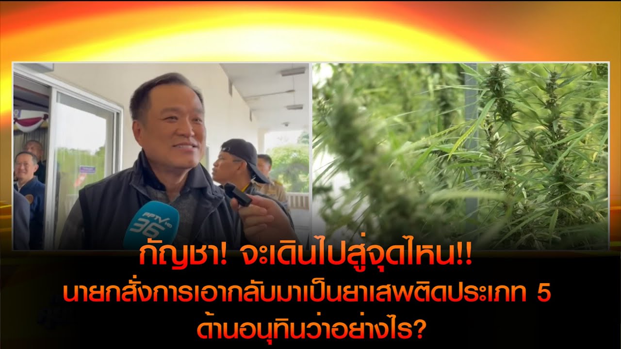 กัญชา! จะเดินไปสู่จุดไหน นายกสั่งการเอากลับมาเป็นยาเสพติดประเภท5 ด้านอนุทินว่าอย่างไร?