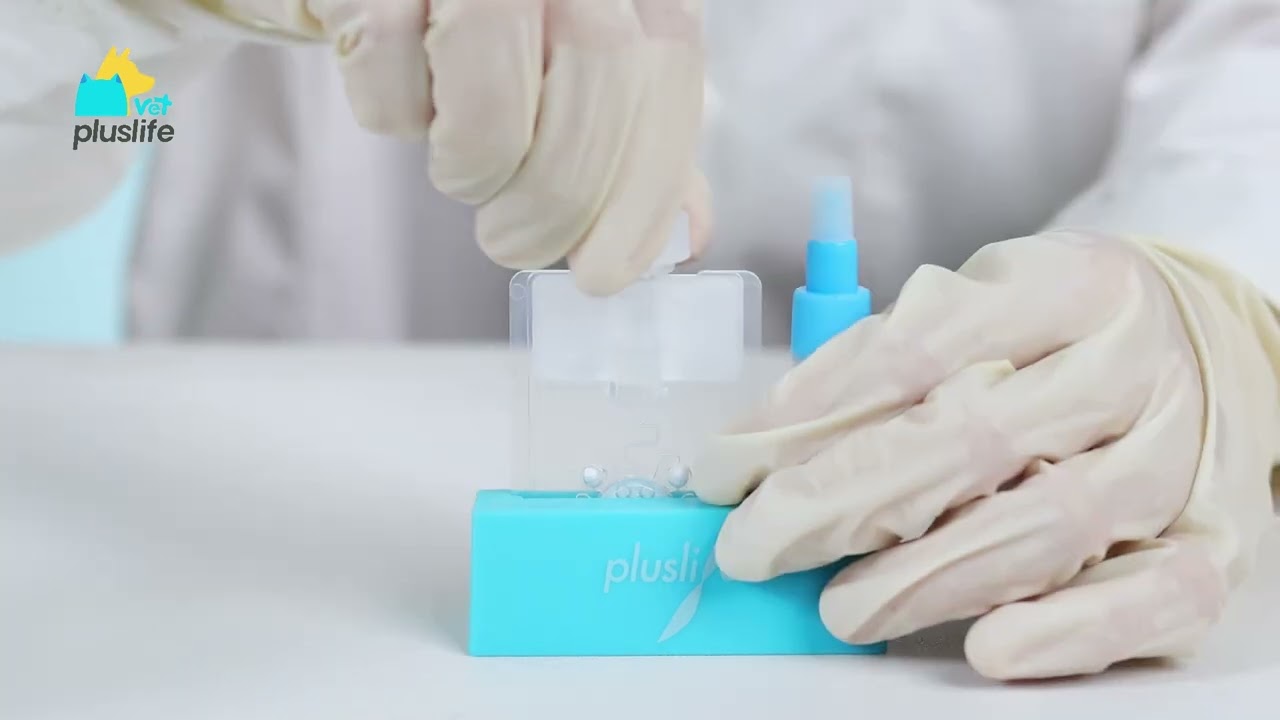 PluslifeVet Product Introduction & Operation Video-MiniDock