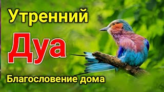 Утренний Дуа. Дуа Каждое Утро