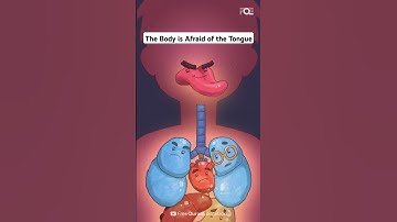 👅 The Body is Afraid of the Tongue | Hamza Yusuf | Inspiring Islamic Reminder