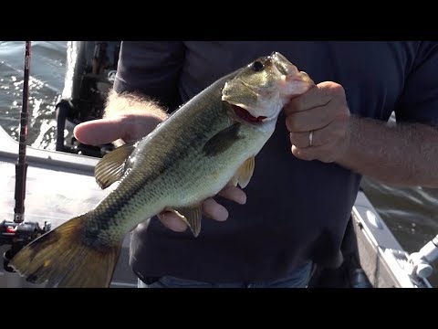 Amazing Mixed Bag Fishing on Houghton Lake