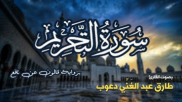تلاوة مرتبة لسورة التحريم كاملة بصوت القارئ طارق دعوب - Surah At-Tahrim Tariq Daawob