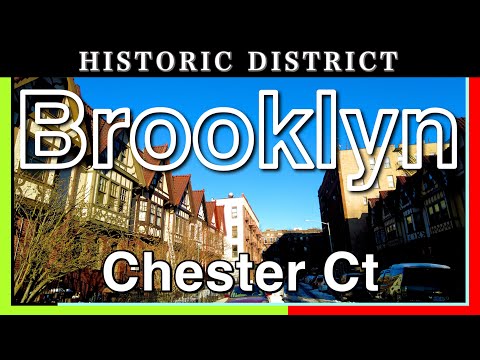 Brooklyn, New York【Chester Court Historic District】2021 Walking Tour, Travel Guide 【4K】