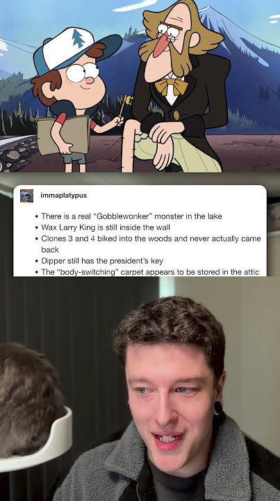 A Gravity Falls Tumblr Post
