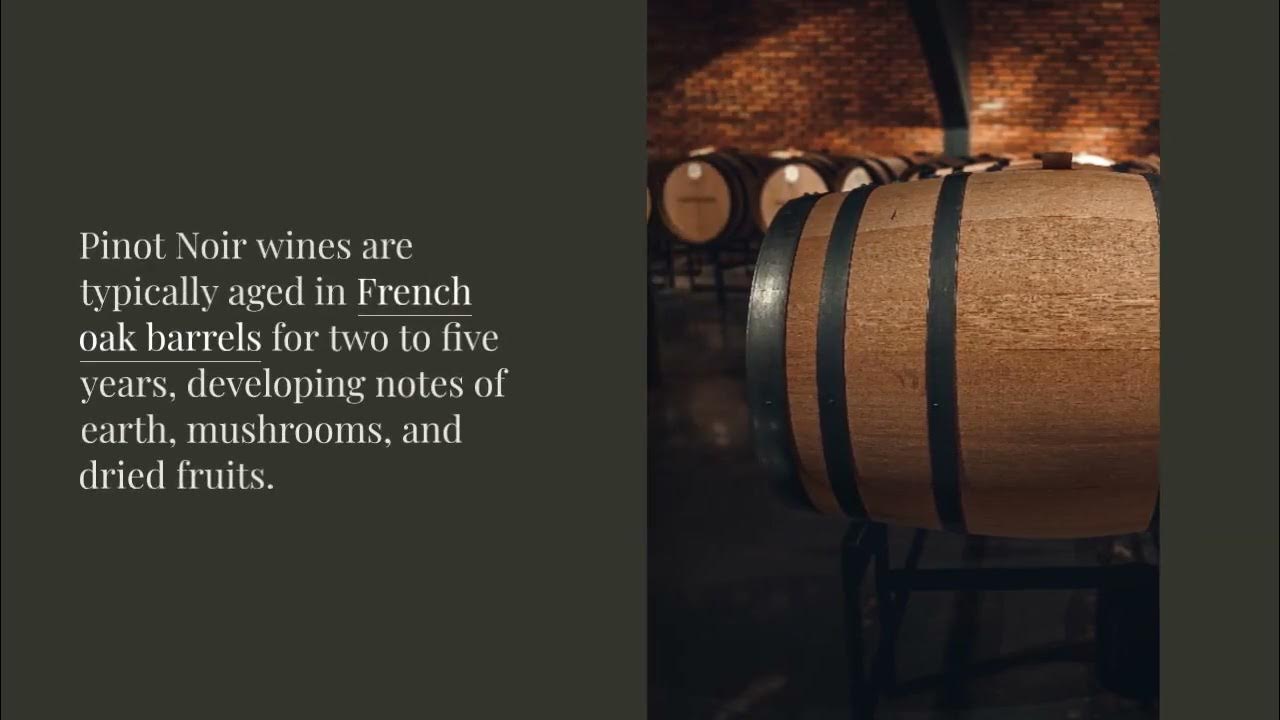 Pinot Noir vs Sauvignon A Comprehensive Comparison YouTube