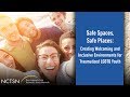 Safe Spaces, Safe Places: Creating Welcoming and Inclusive Environments for Traumatized LGBTQ Youth