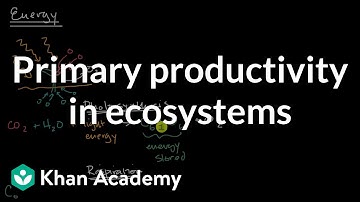 Primary productivity in ecosystems| Matter and Energy Flow| AP Environmental Science| Khan Academy
