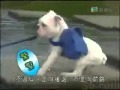 vid 20130922 wa0027mp4
