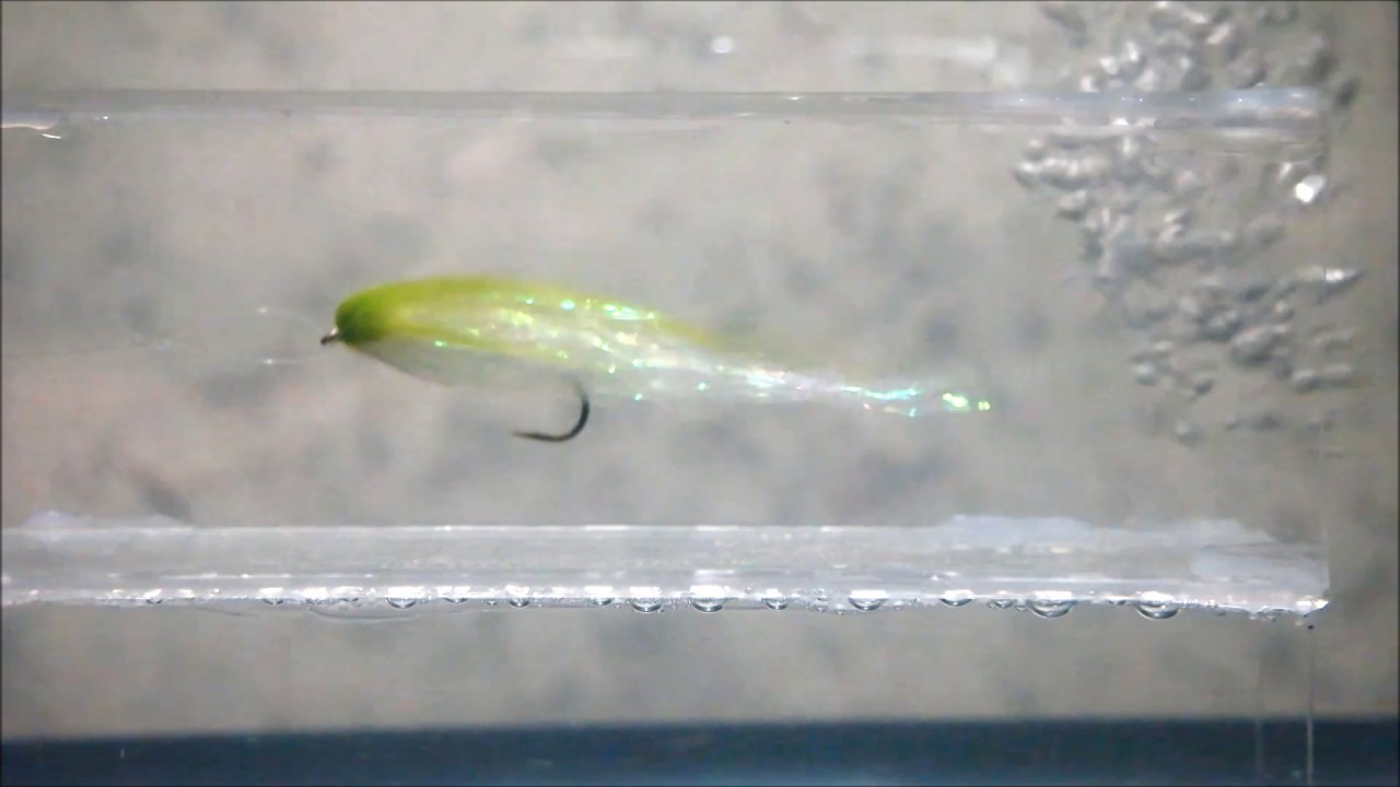 Streamer Fish Tank Swim Test - Bad Hair Day Fly 2