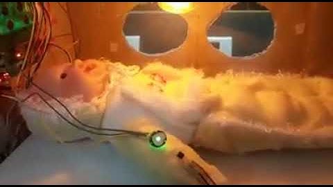 Neonate incubator monitoring System