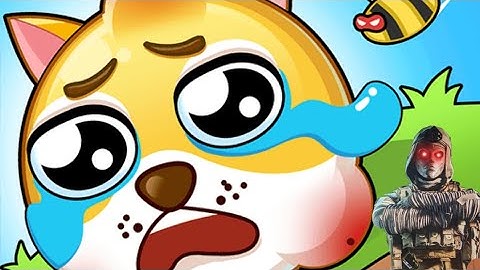 Save the Doge Answers | All Levels | Gameplay 😲