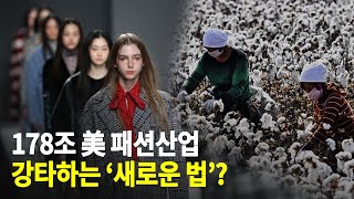 [美 위구르 강제노동방지법] 신장 관련 제품 수입업자, ‘강제노동 클린’ 입증해야